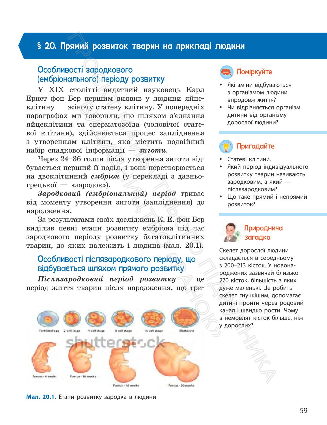Мініатюра 59