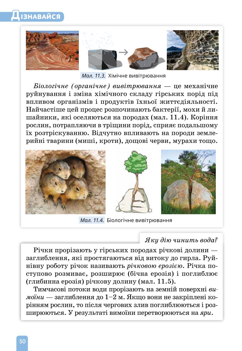 Мініатюра 50