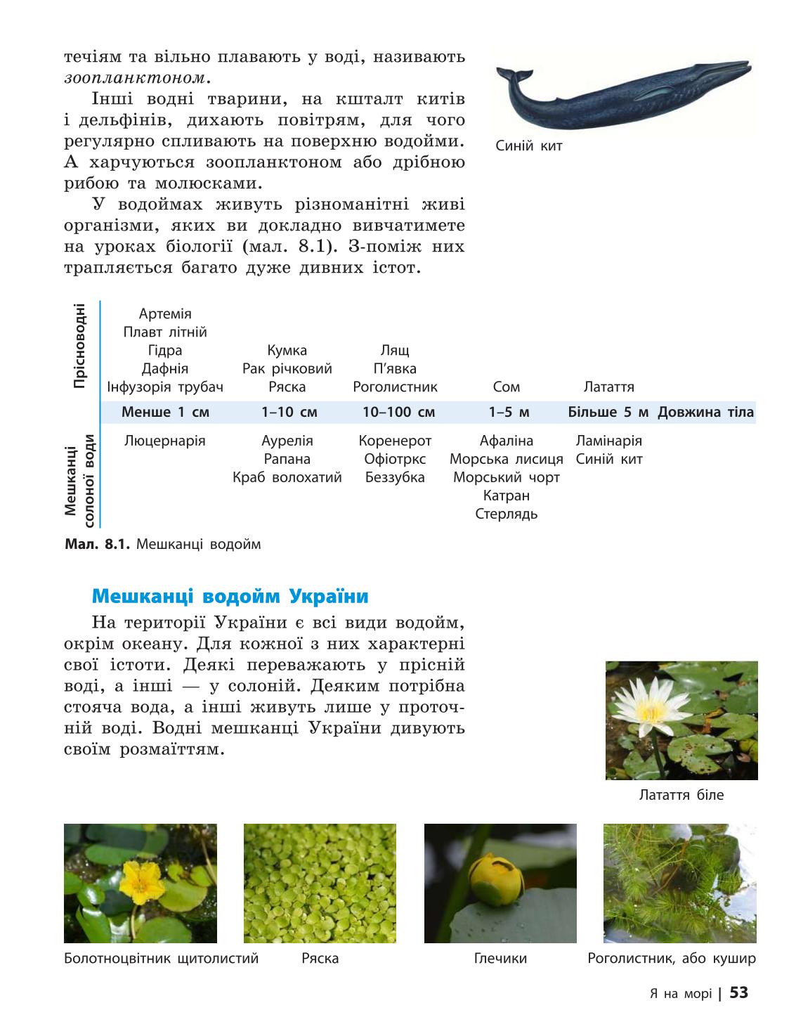 Мініатюра 53