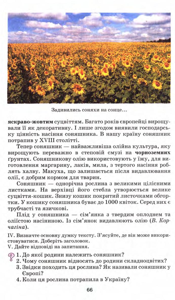 Мініатюра 66