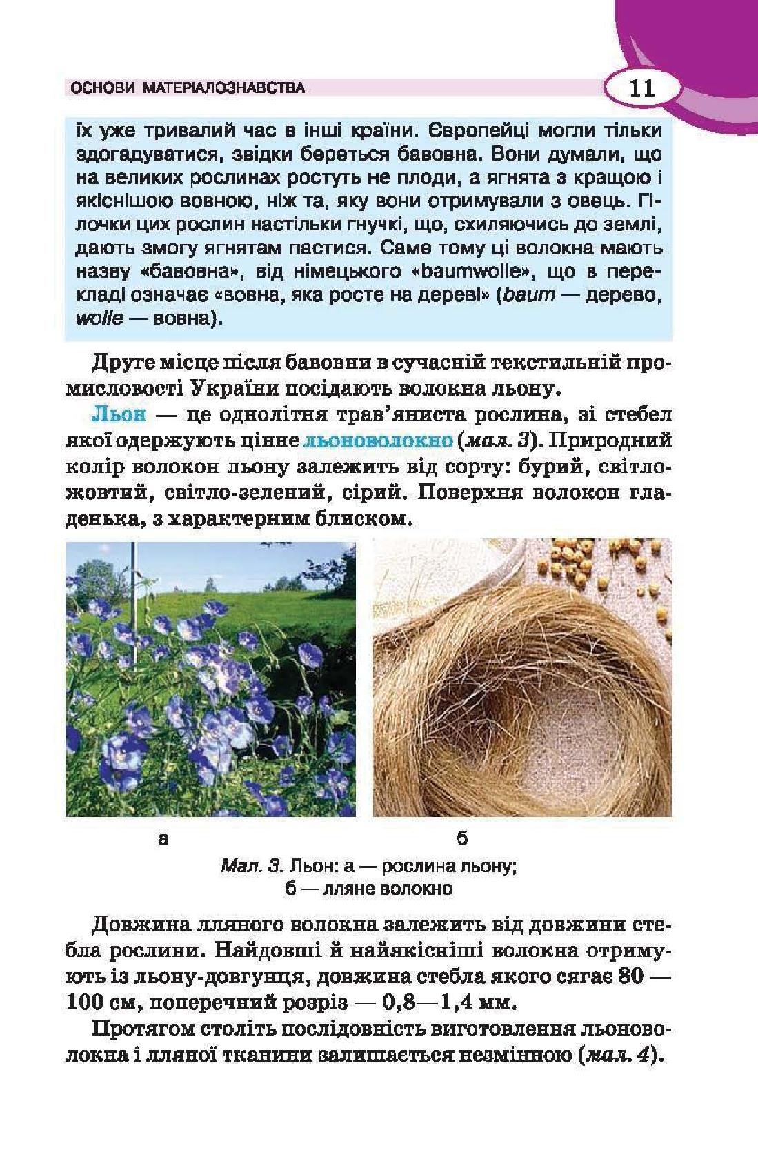 Мініатюра 11