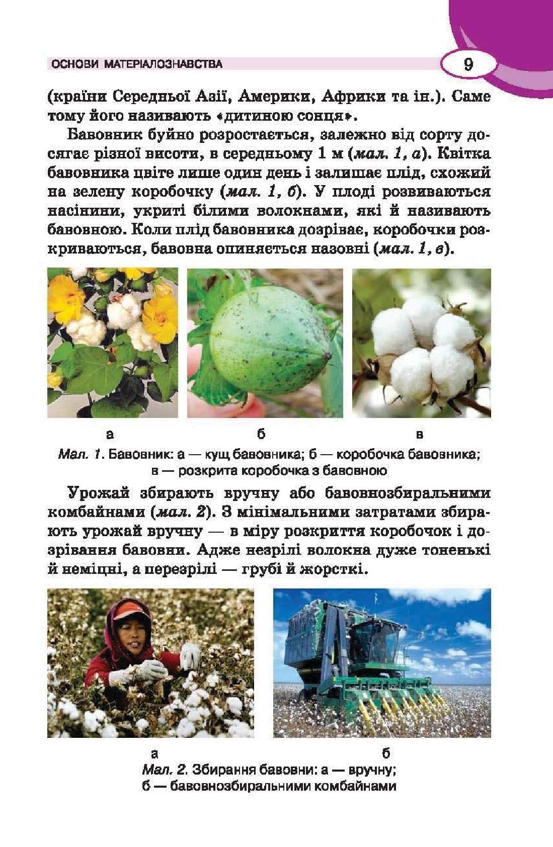 Мініатюра 9