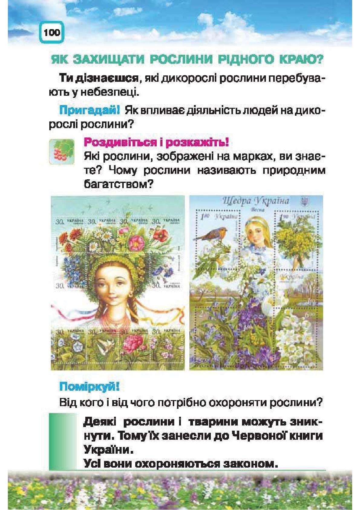 Мініатюра 100