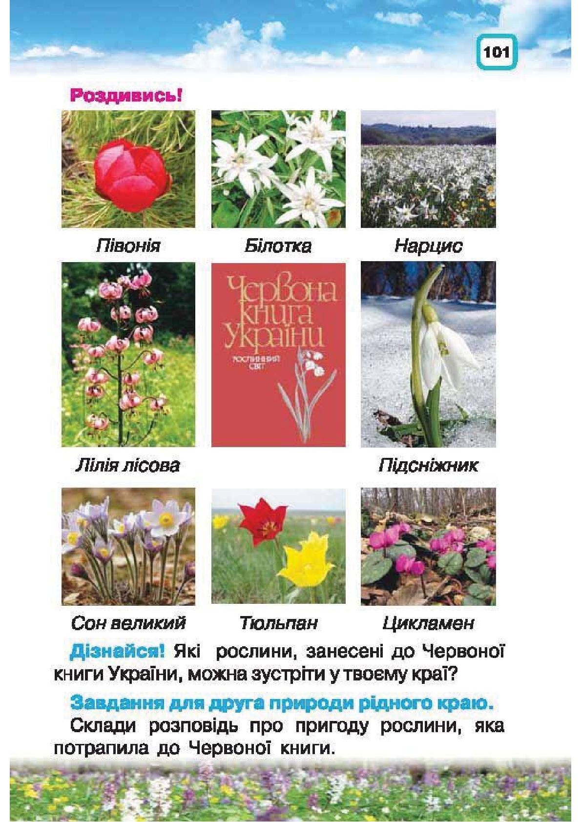 Мініатюра 101