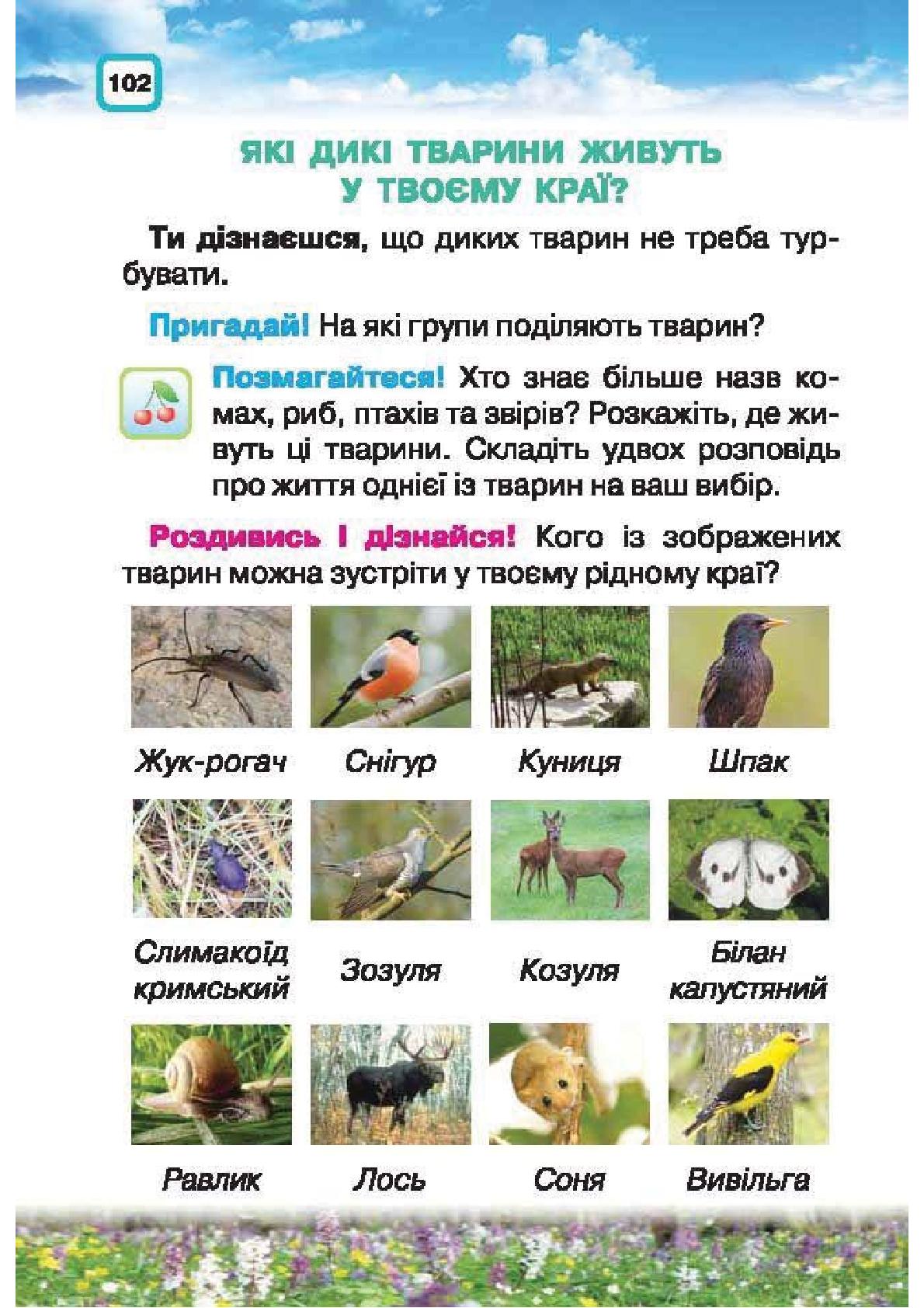 Мініатюра 102