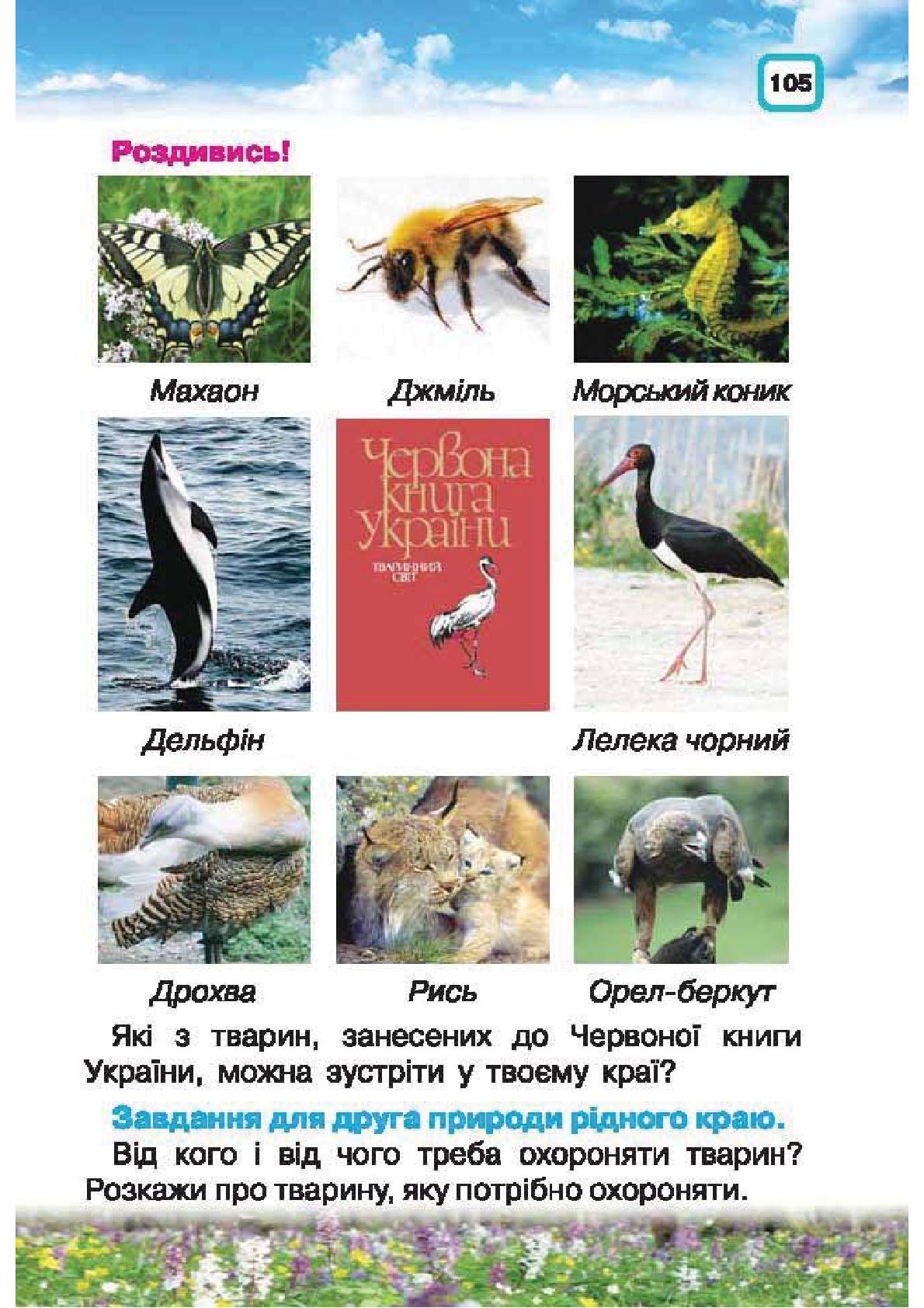 Мініатюра 105