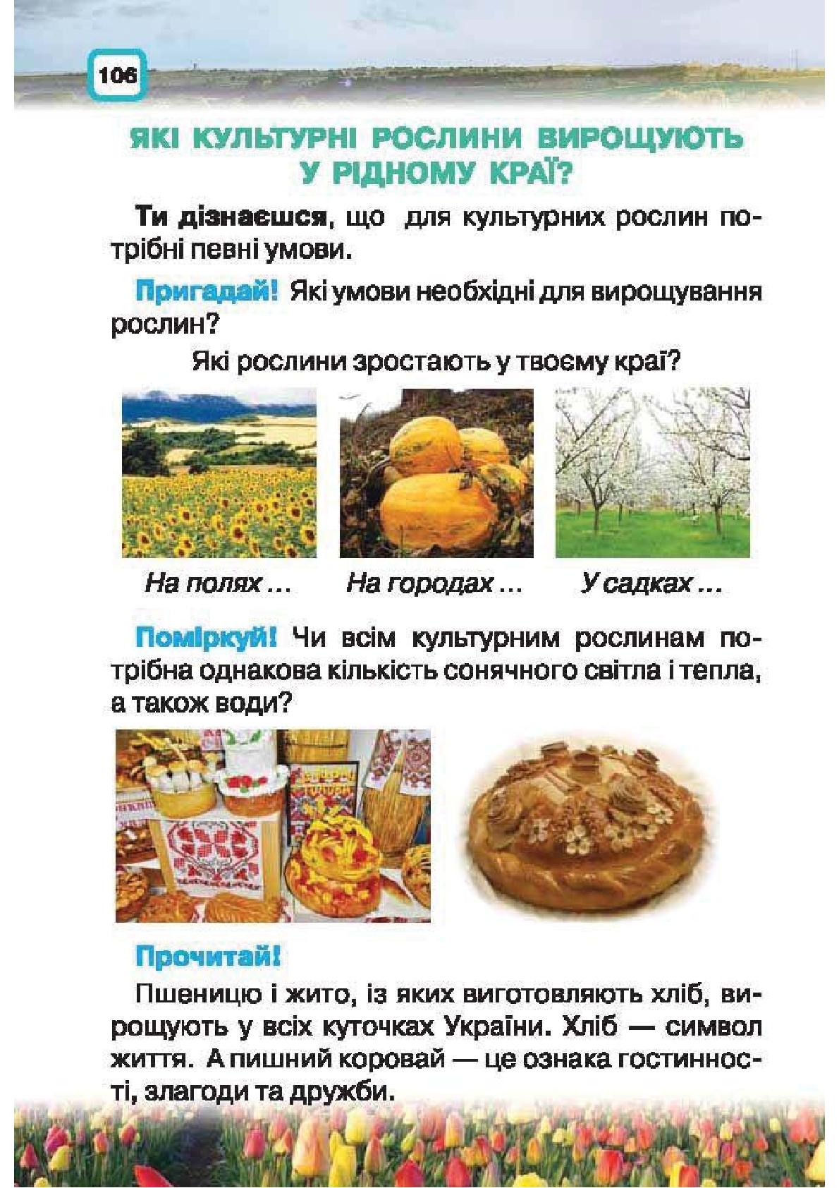 Мініатюра 106