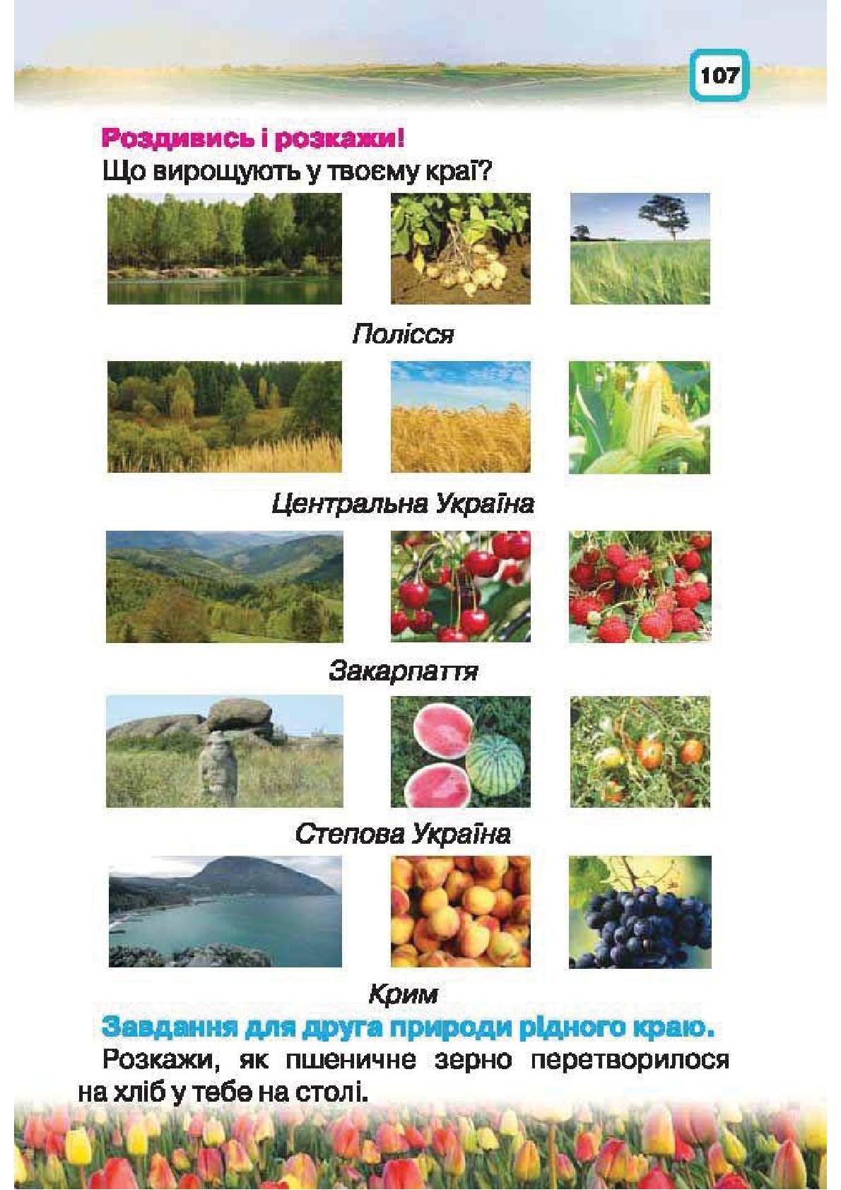Мініатюра 107