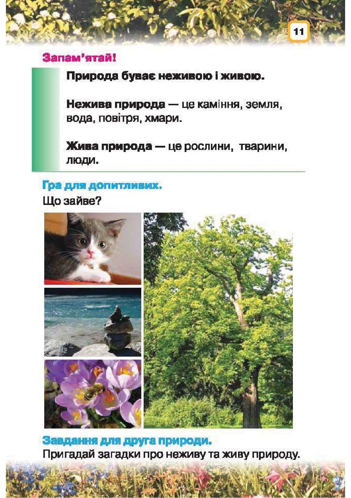 Мініатюра 11