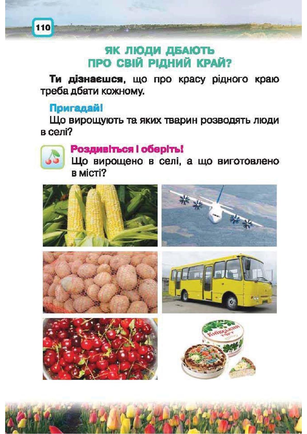 Мініатюра 110