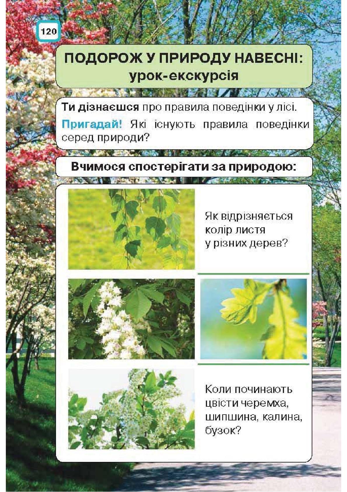 Мініатюра 120