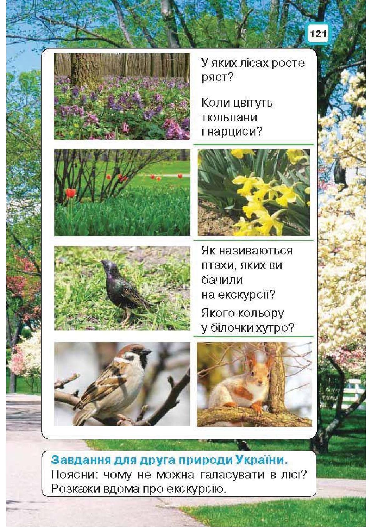 Мініатюра 121