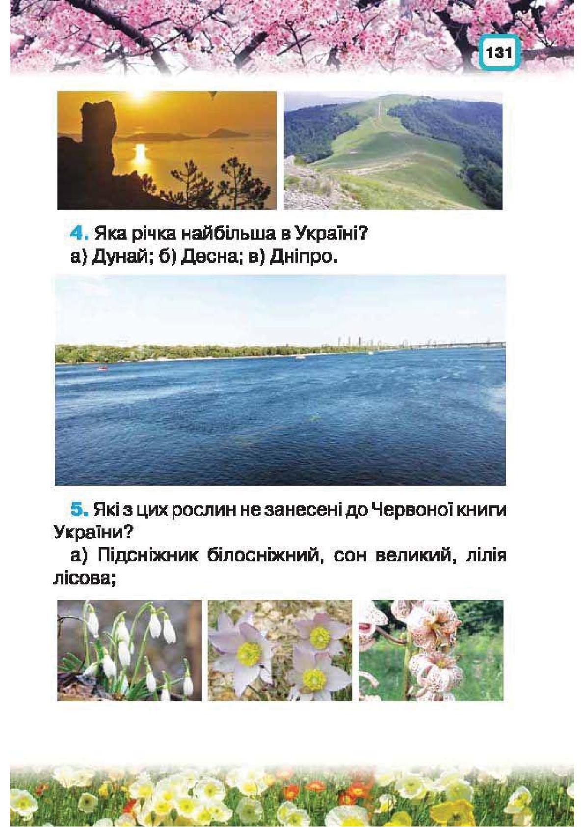 Мініатюра 131