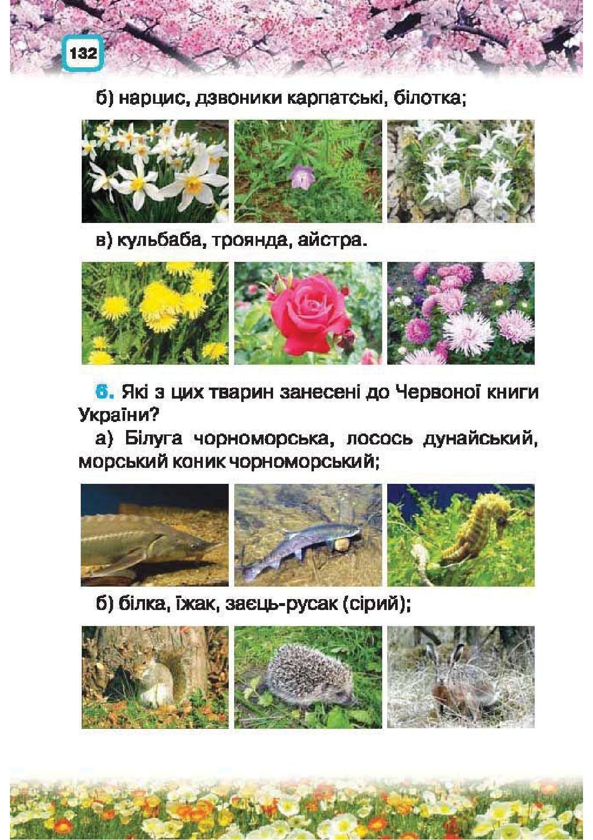 Мініатюра 132