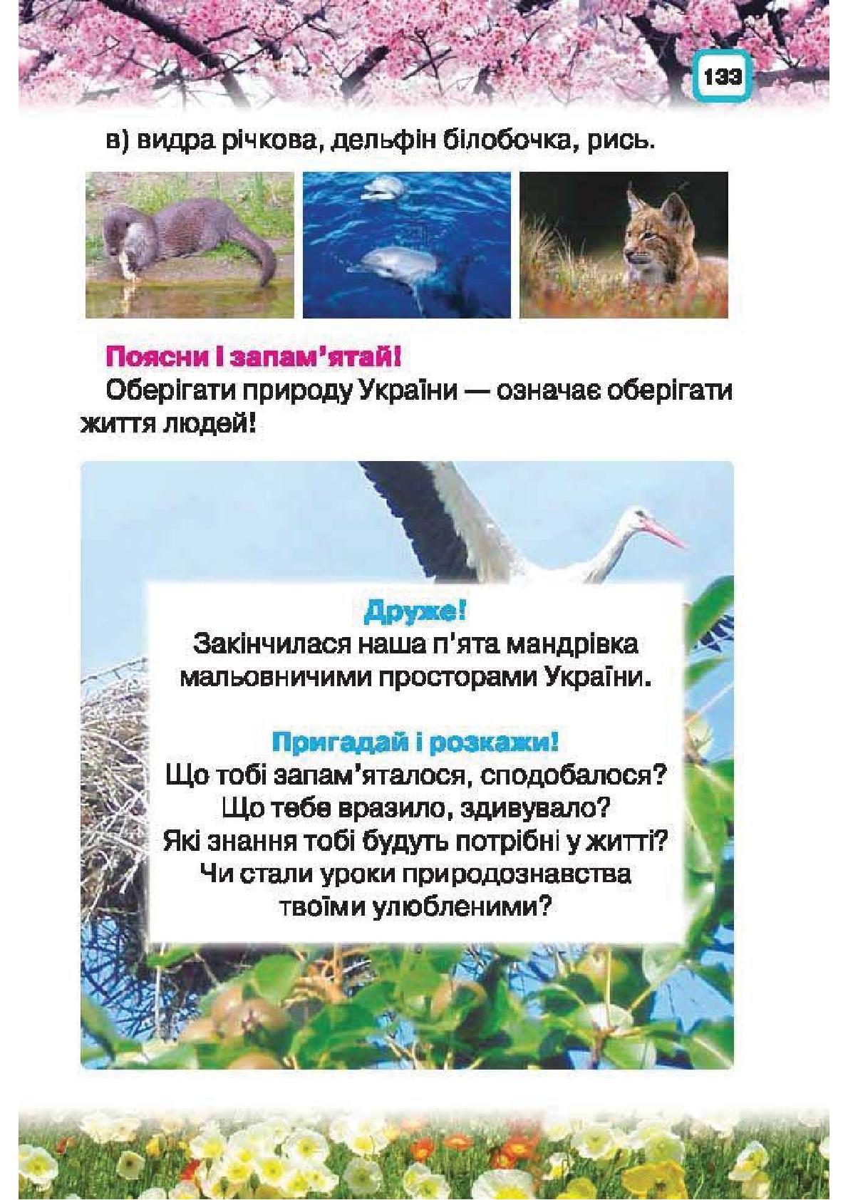 Мініатюра 133