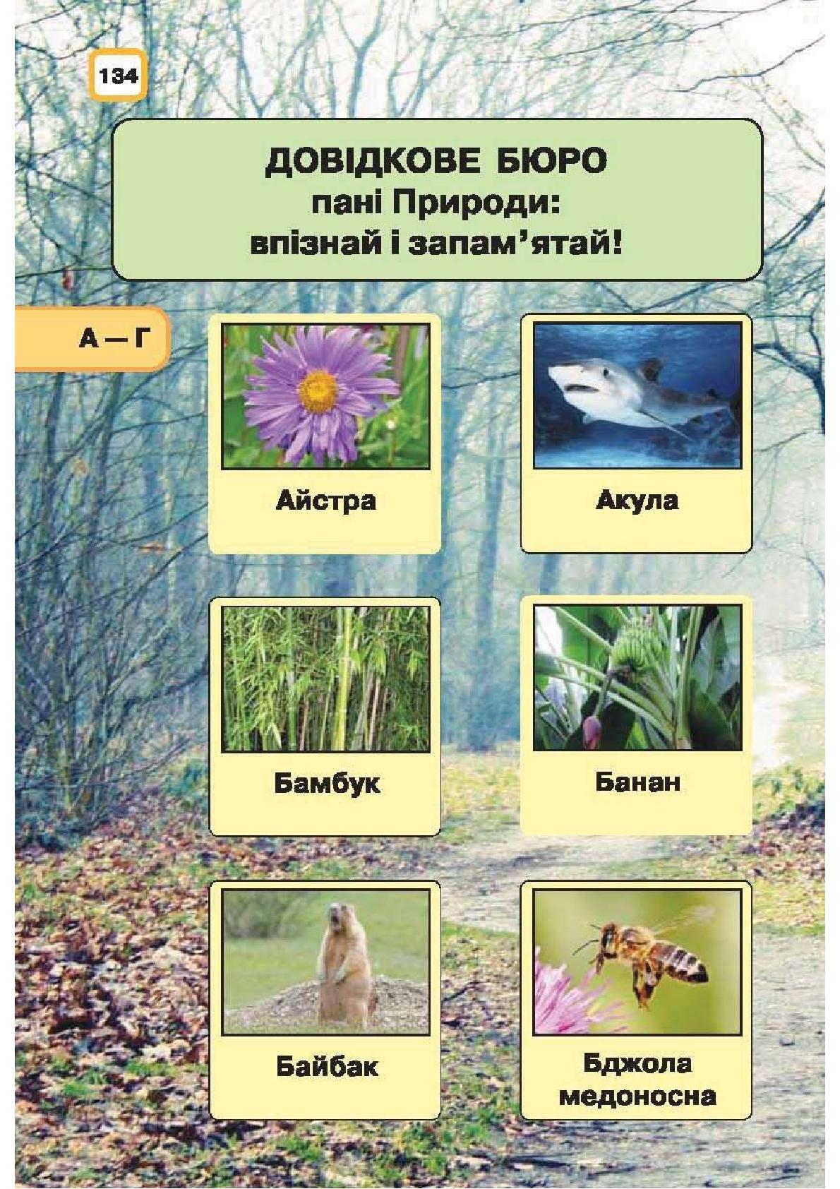 Мініатюра 134