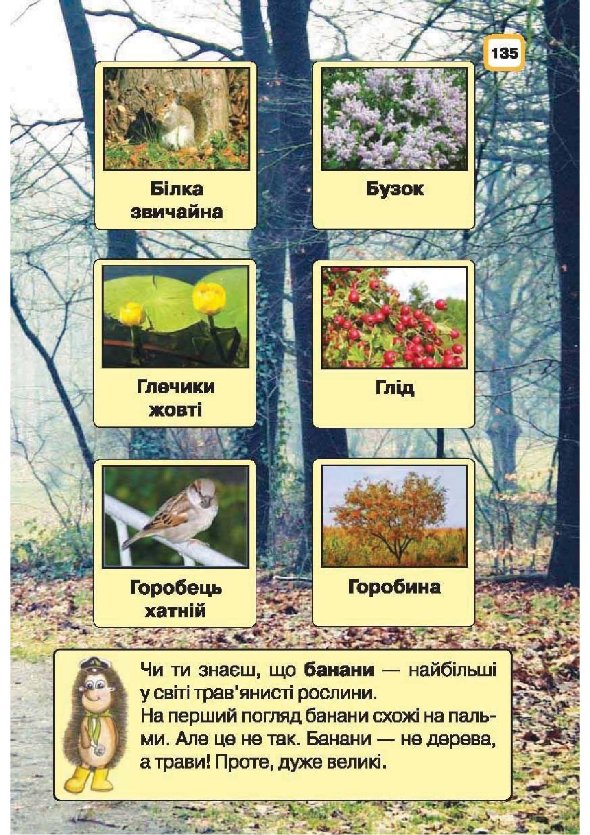 Мініатюра 135