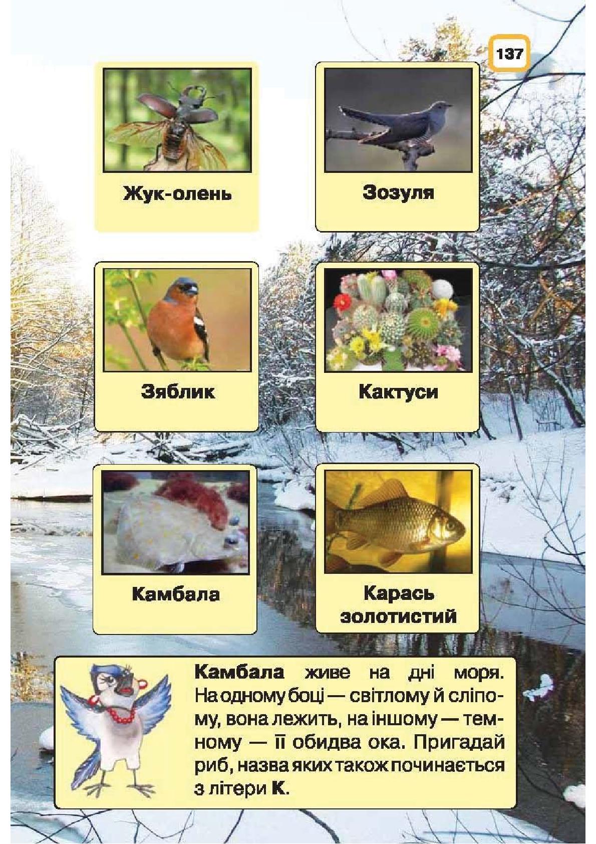 Мініатюра 137