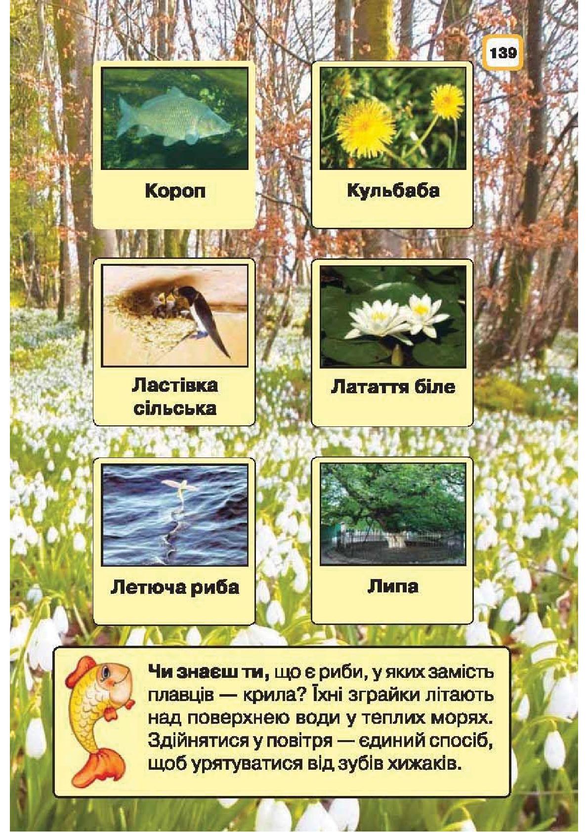Мініатюра 139