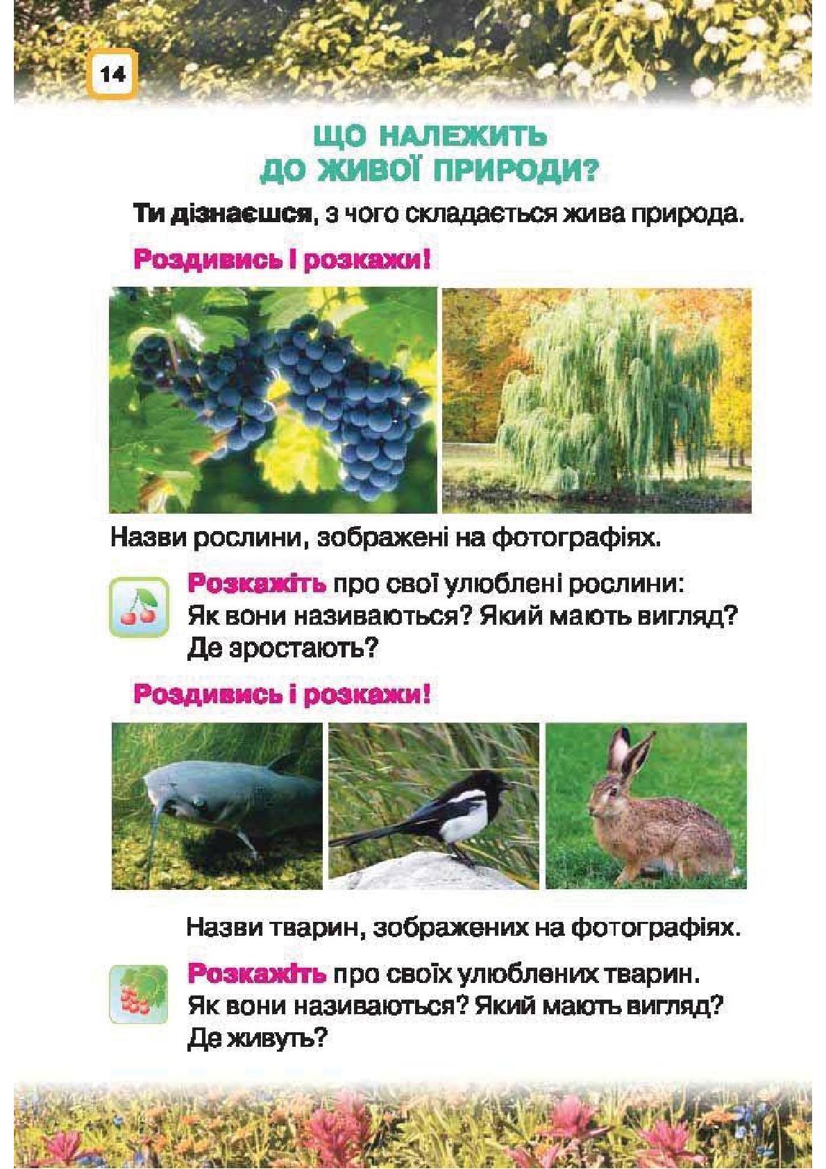 Мініатюра 14