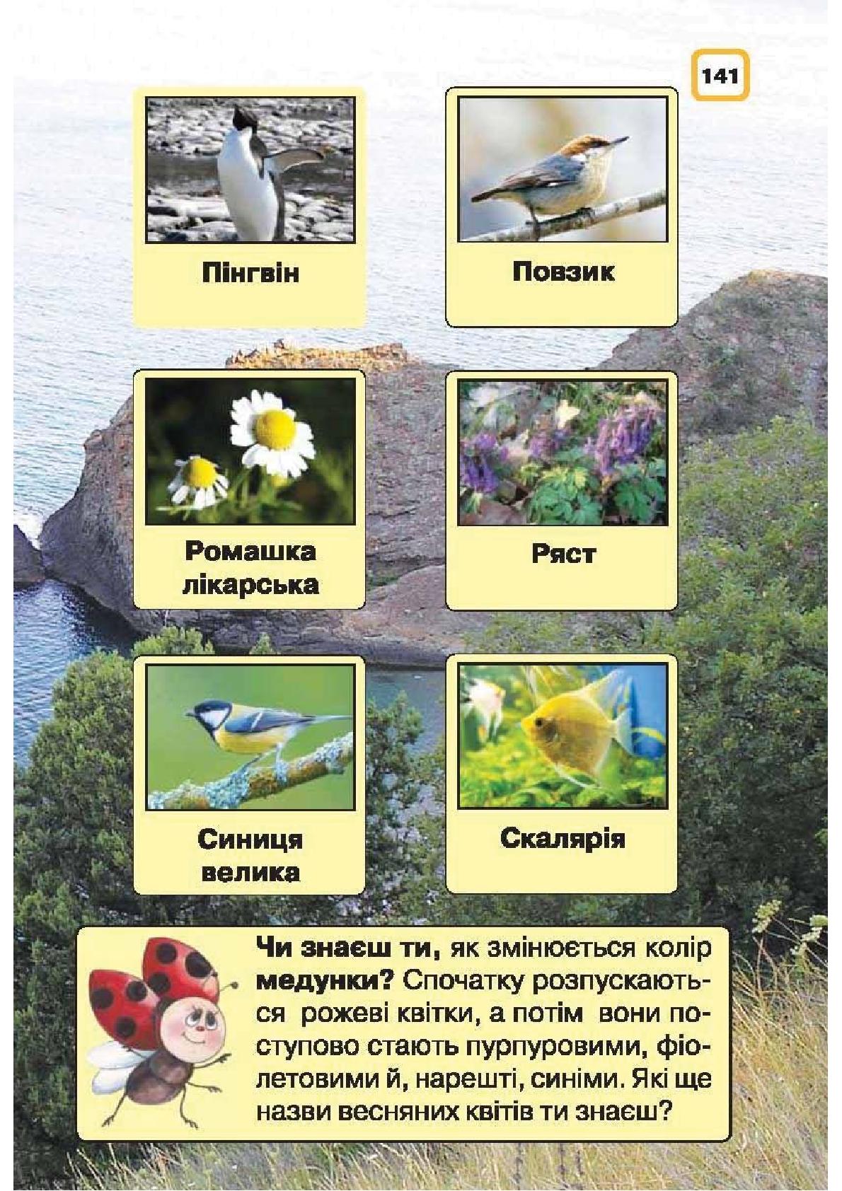 Мініатюра 141