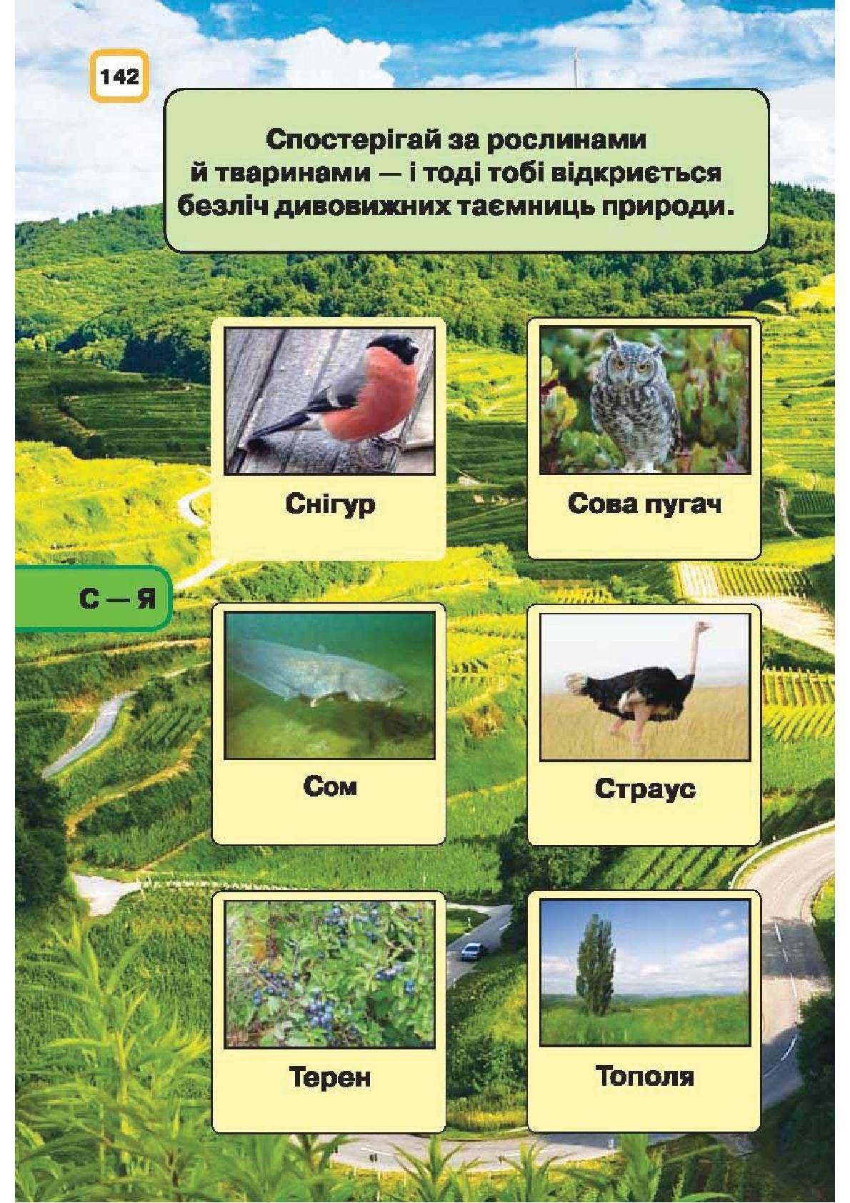 Мініатюра 142