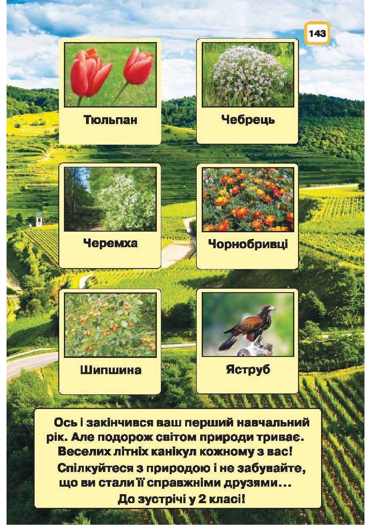 Мініатюра 143