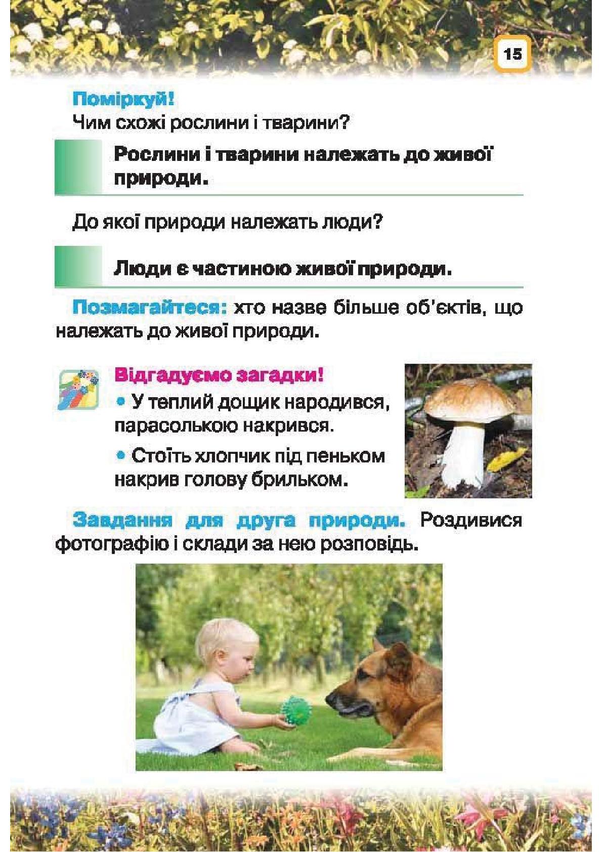 Мініатюра 15