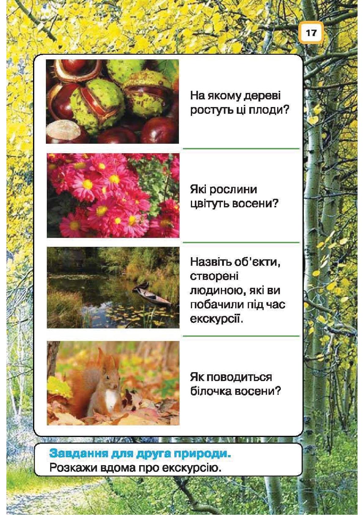 Мініатюра 17