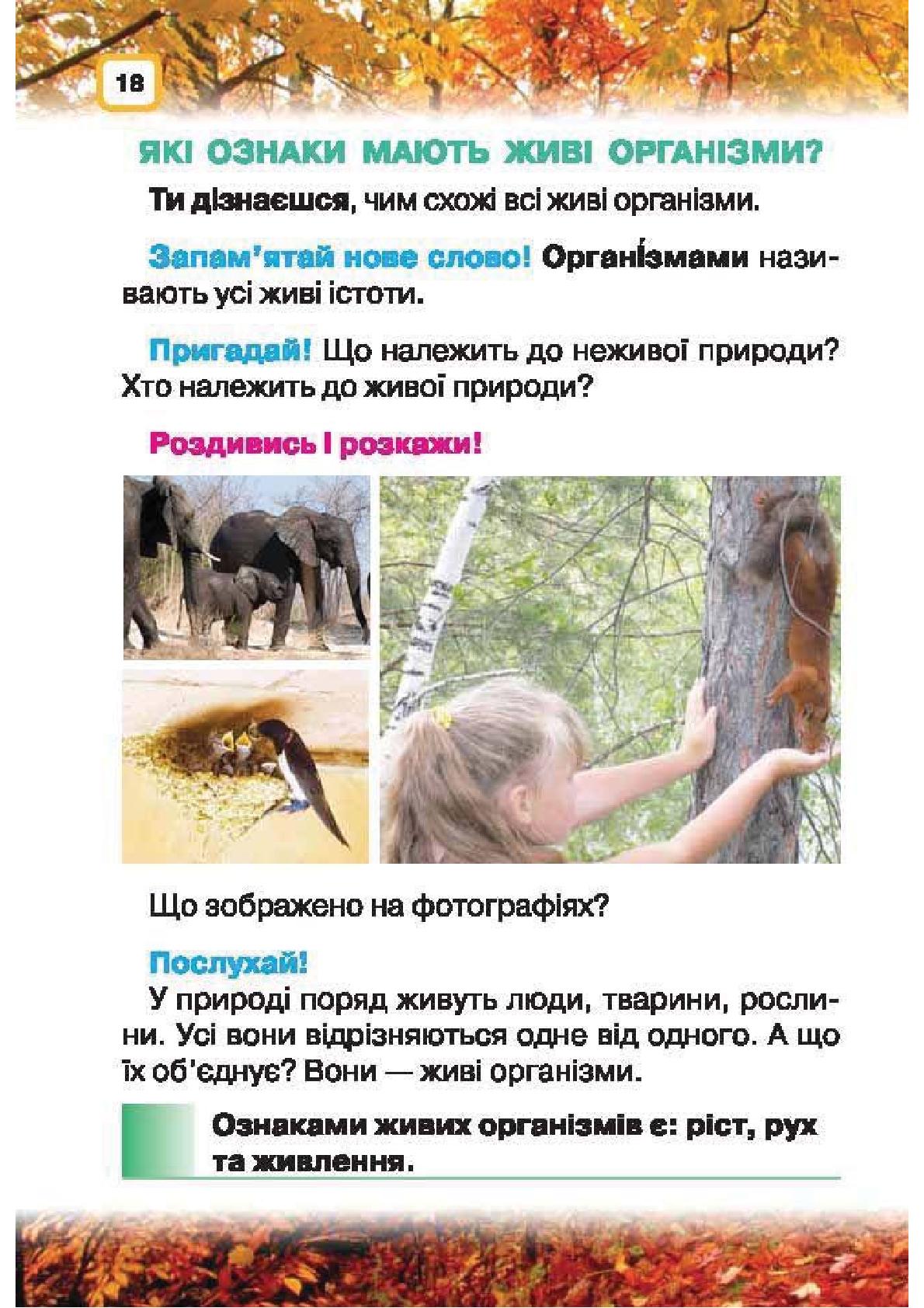Мініатюра 18