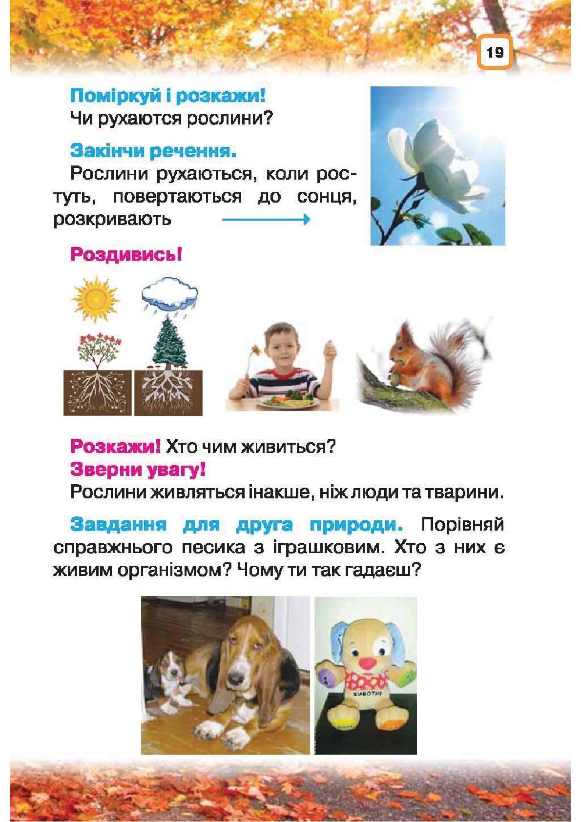 Мініатюра 19