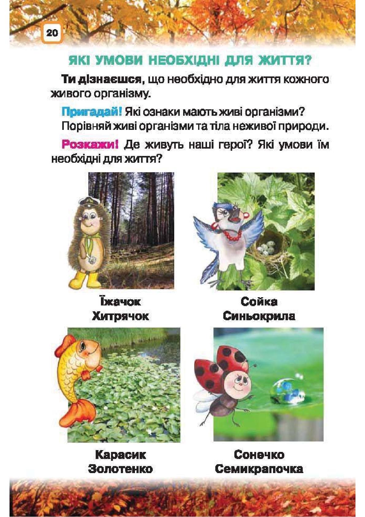 Мініатюра 20