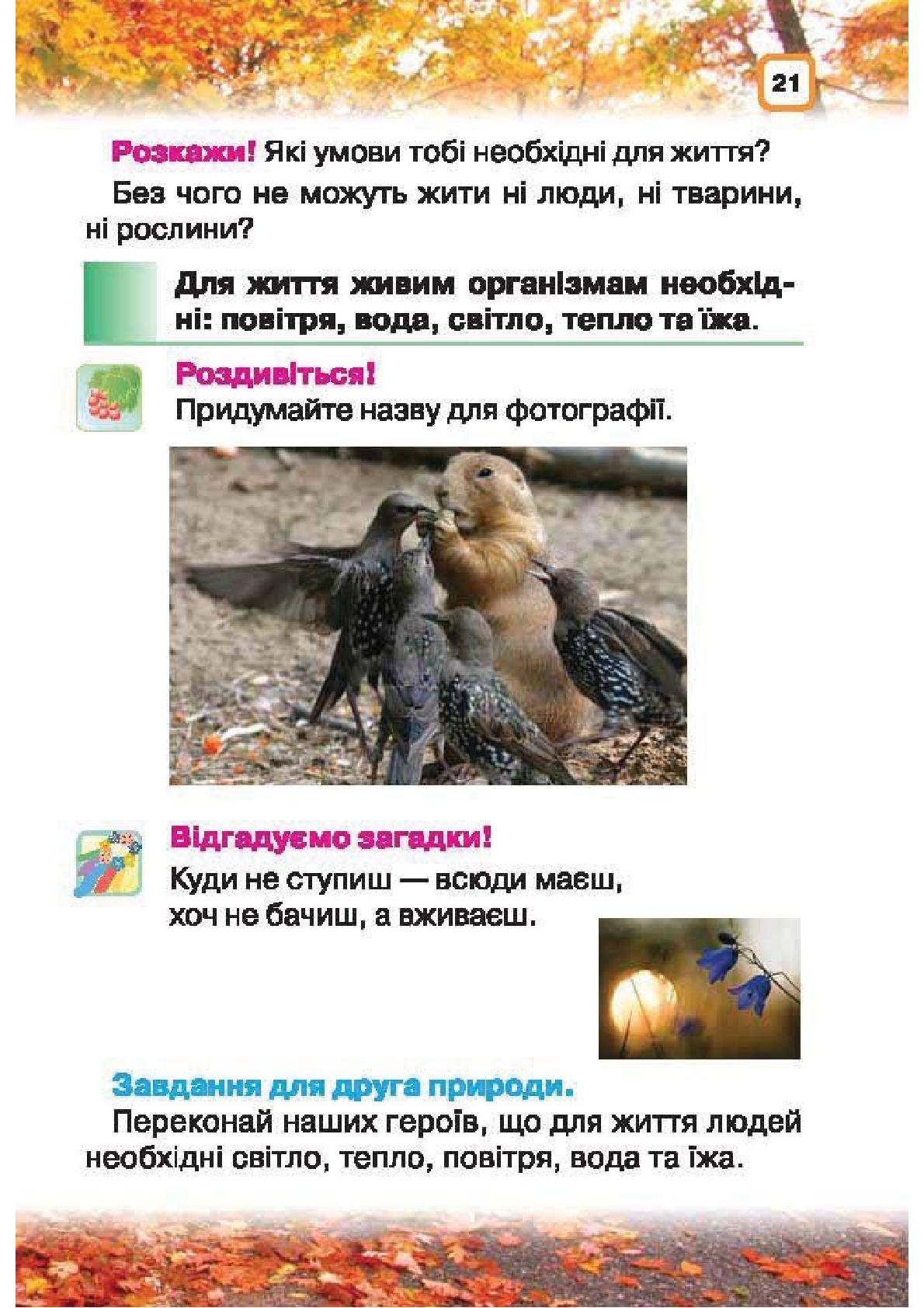 Мініатюра 21