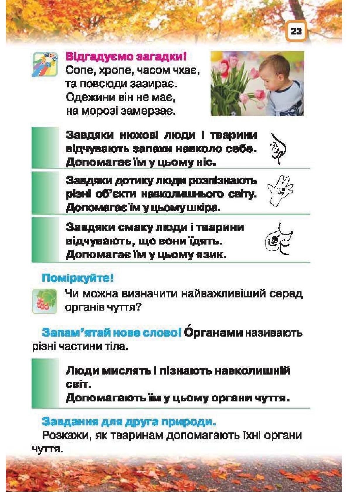 Мініатюра 23