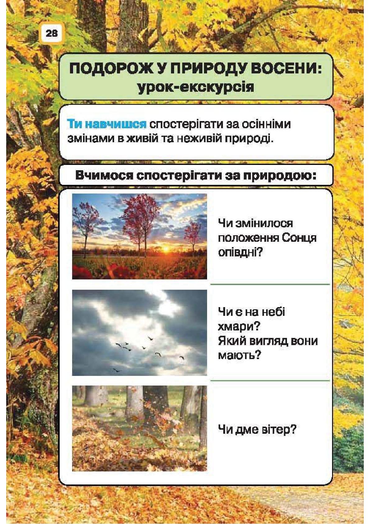 Мініатюра 28