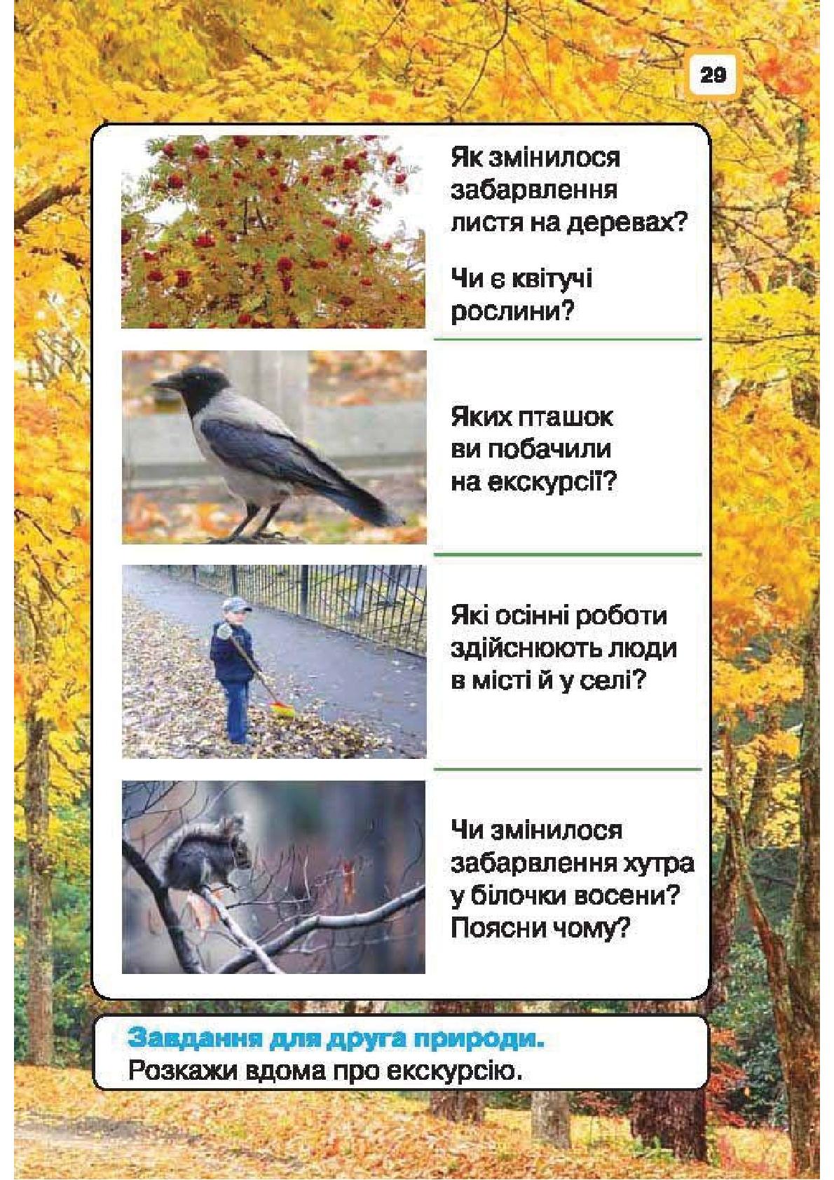 Мініатюра 29