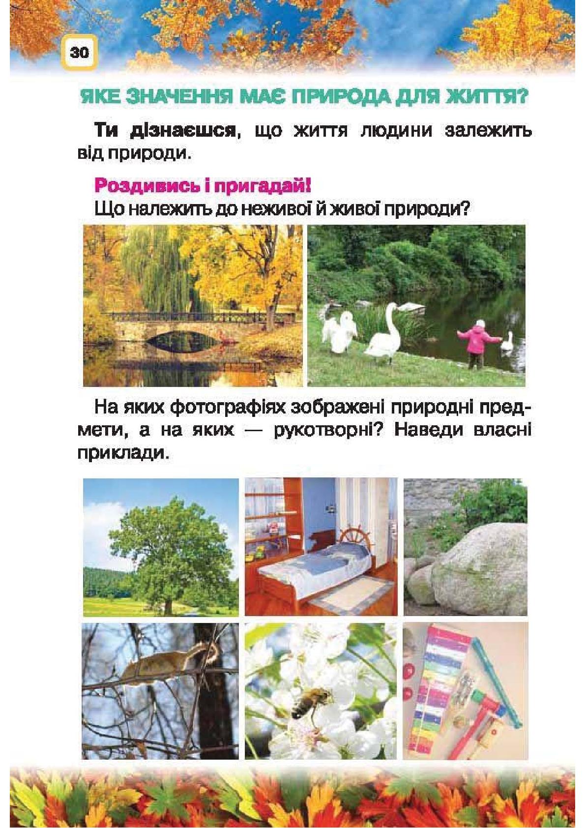 Мініатюра 30