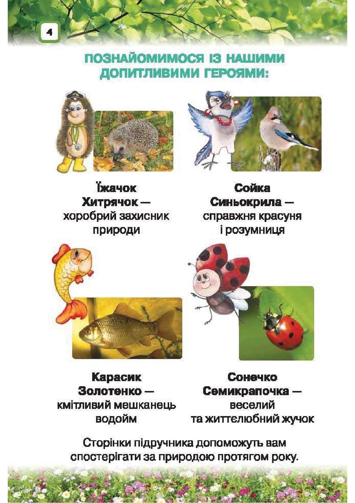 Мініатюра 4
