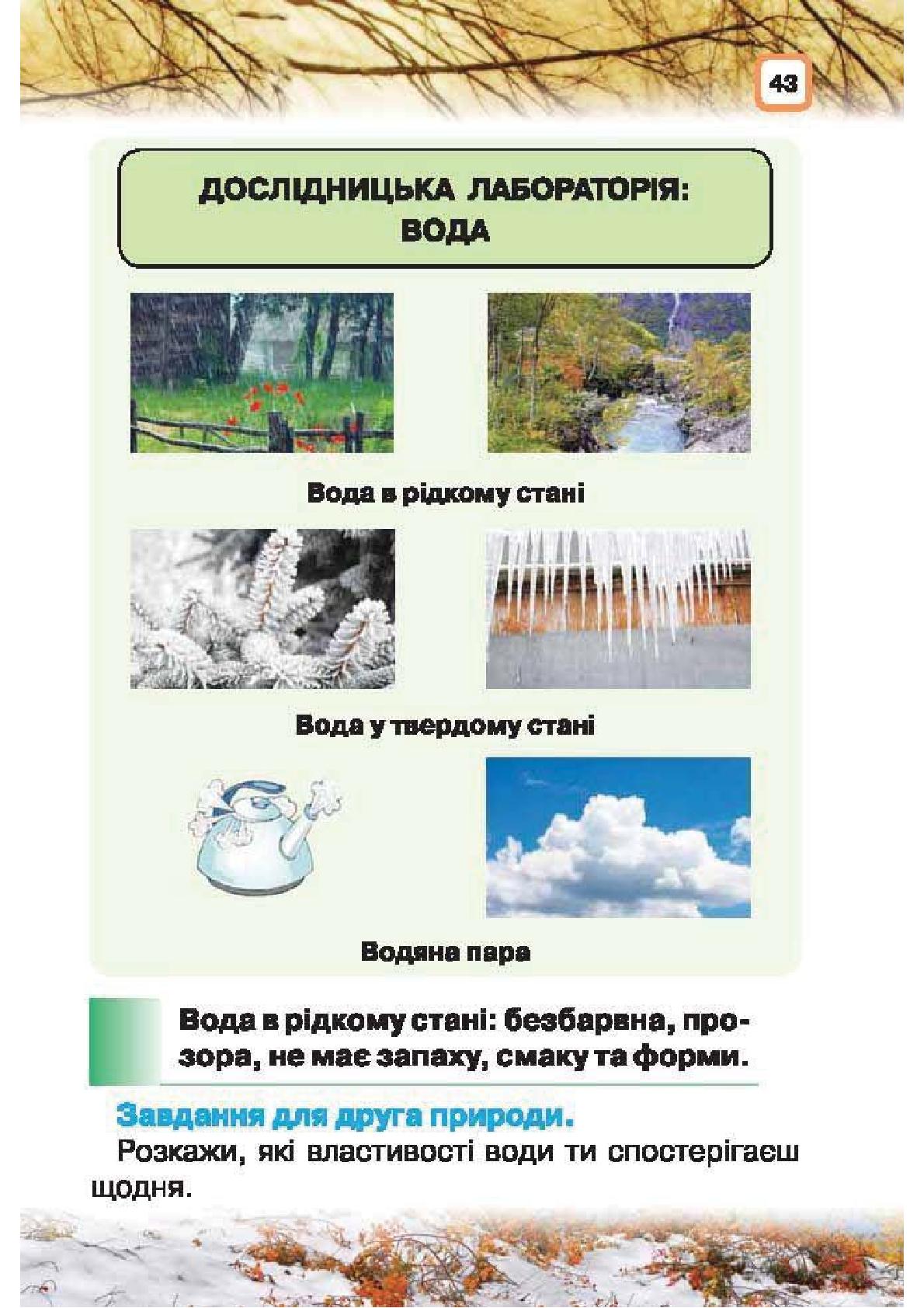 Мініатюра 43