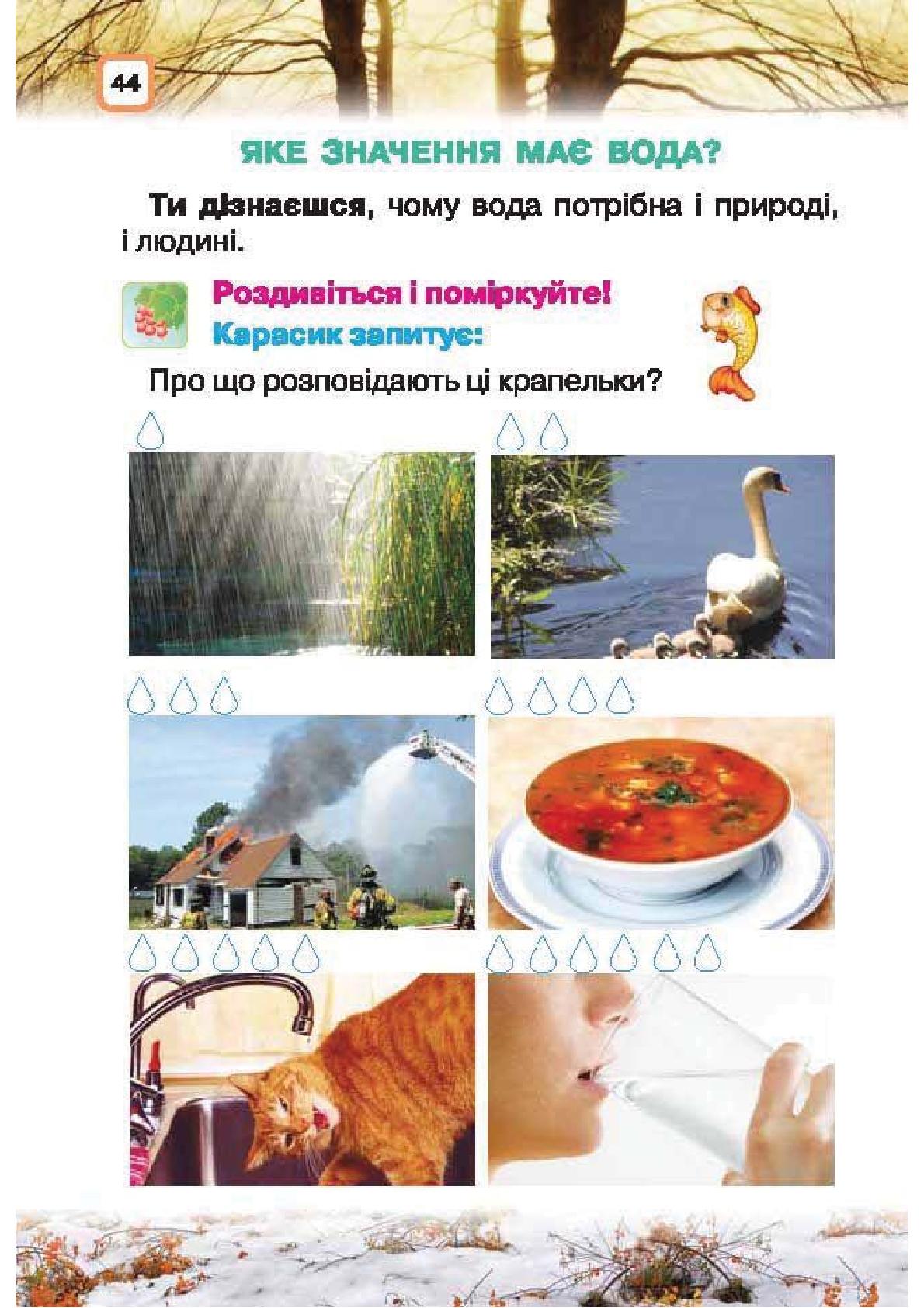 Мініатюра 44