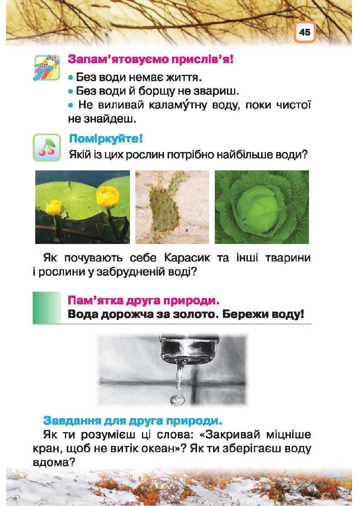 Мініатюра 45