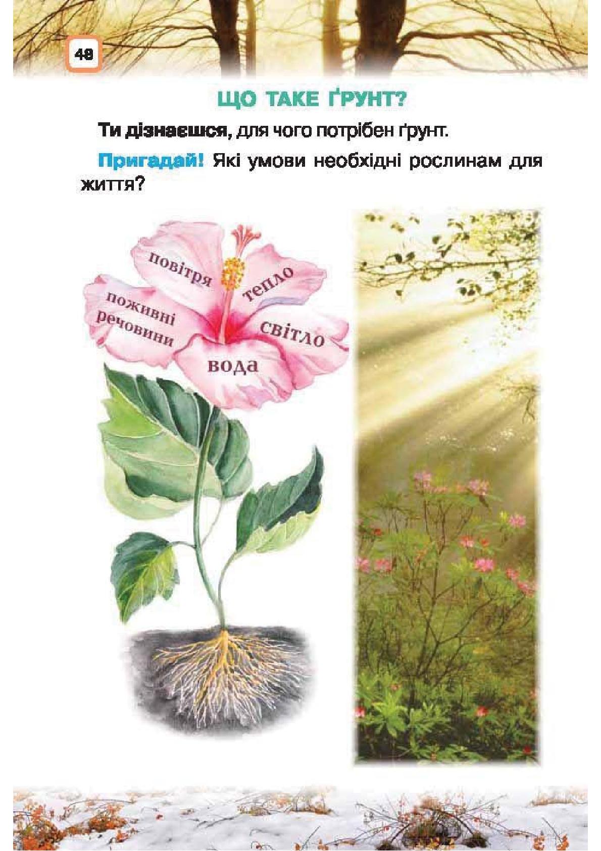 Мініатюра 48