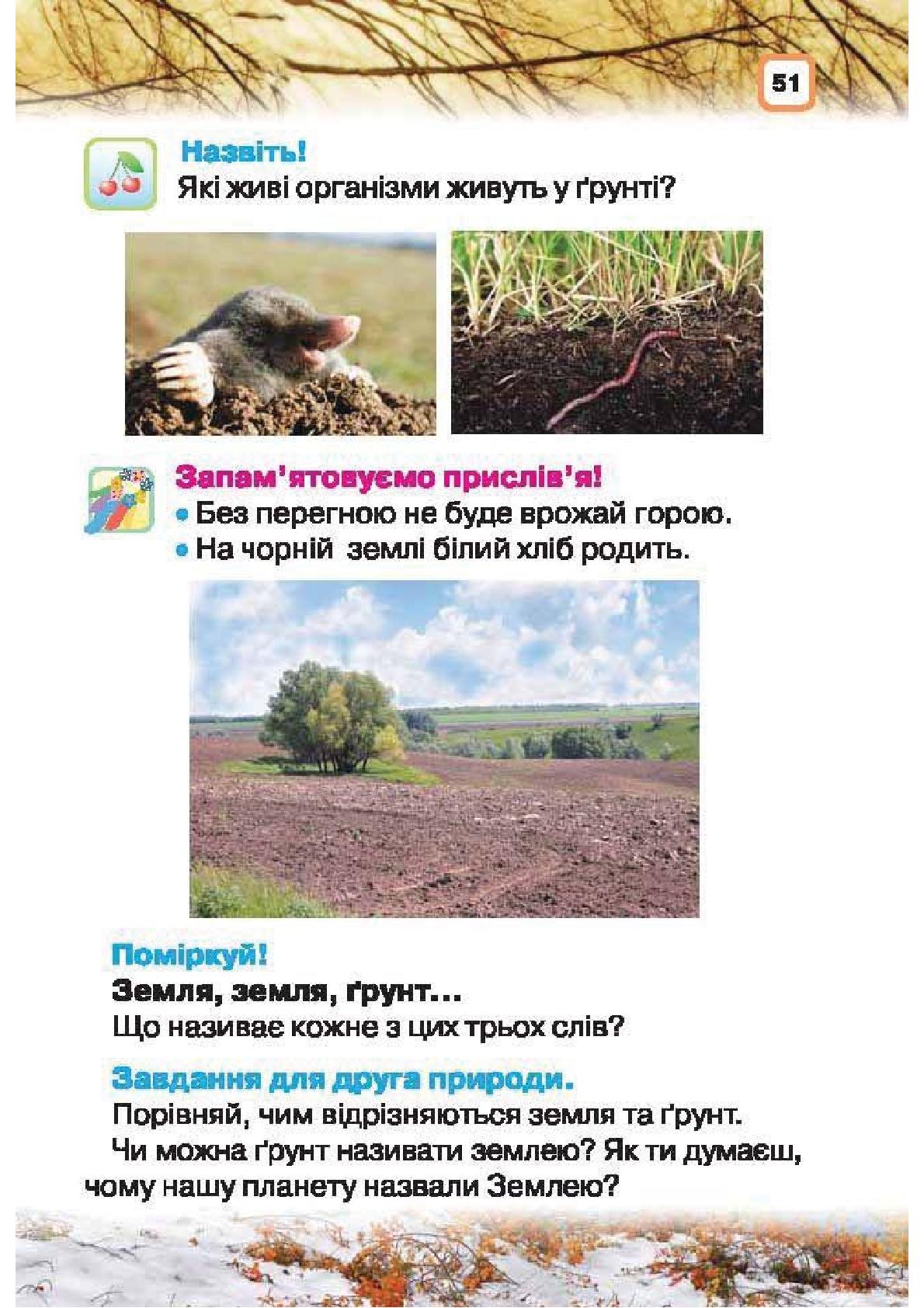 Мініатюра 51