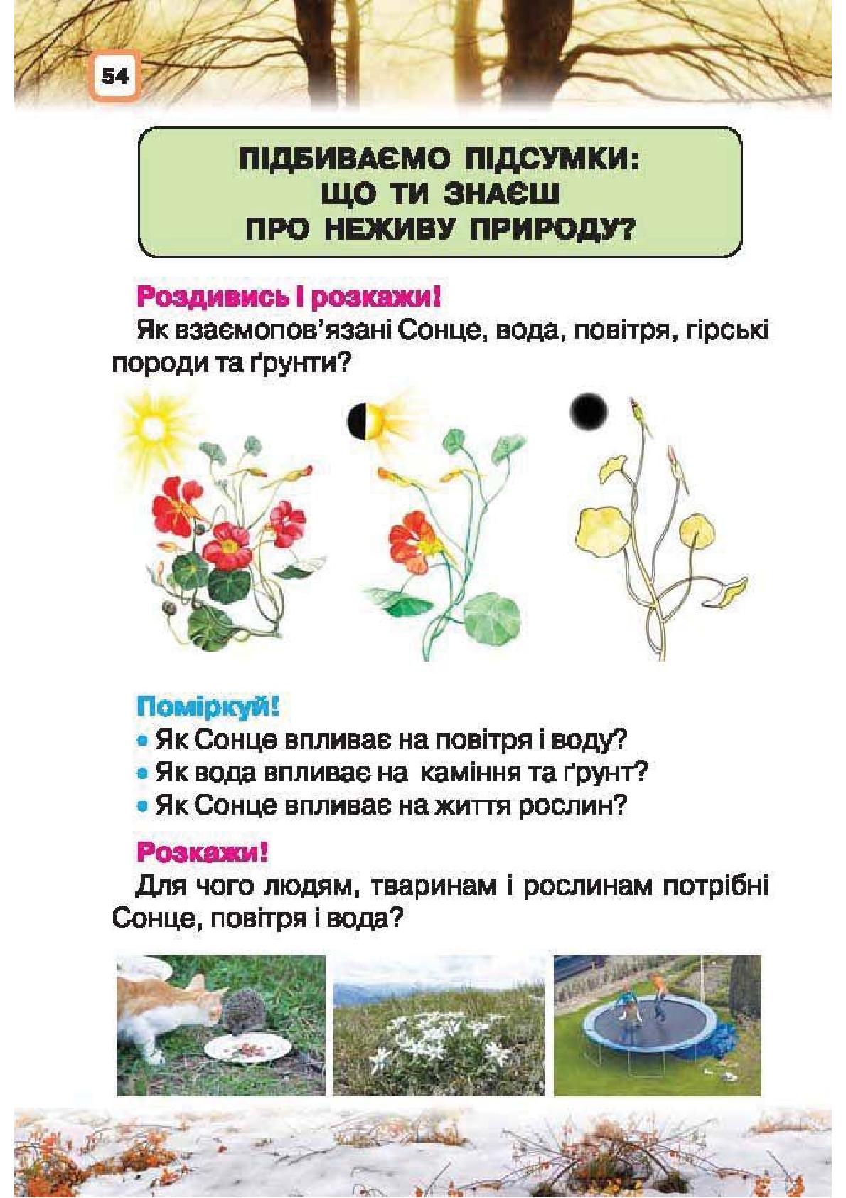 Мініатюра 54