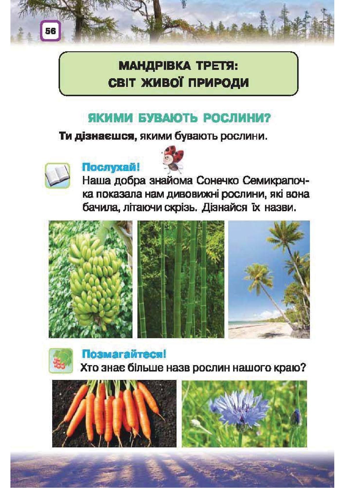 Мініатюра 56