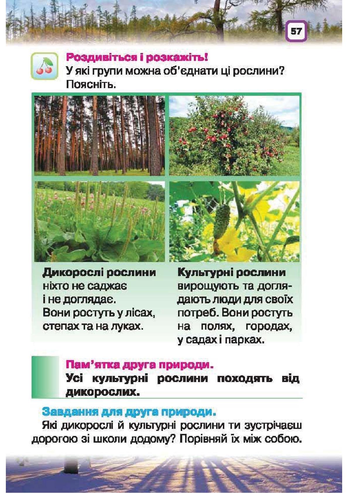 Мініатюра 57