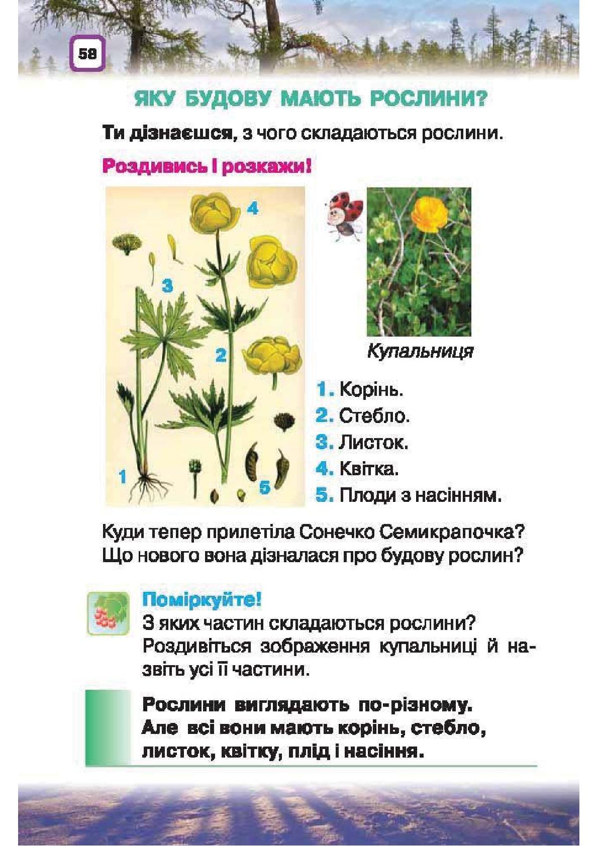 Мініатюра 58