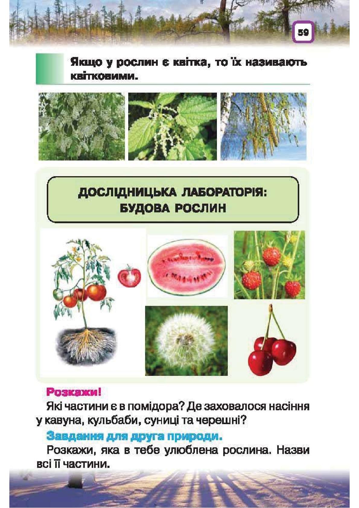 Мініатюра 59