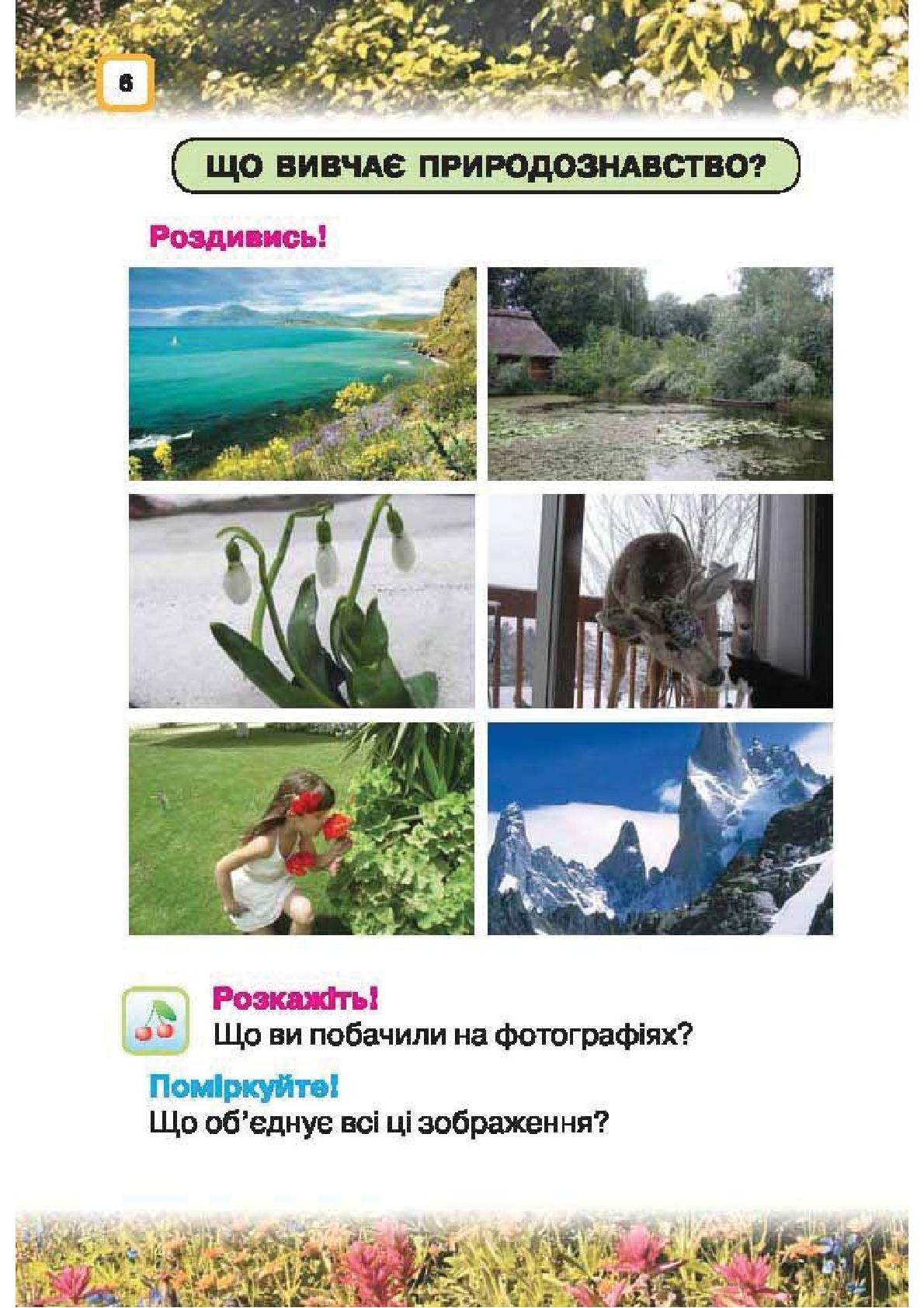 Мініатюра 6