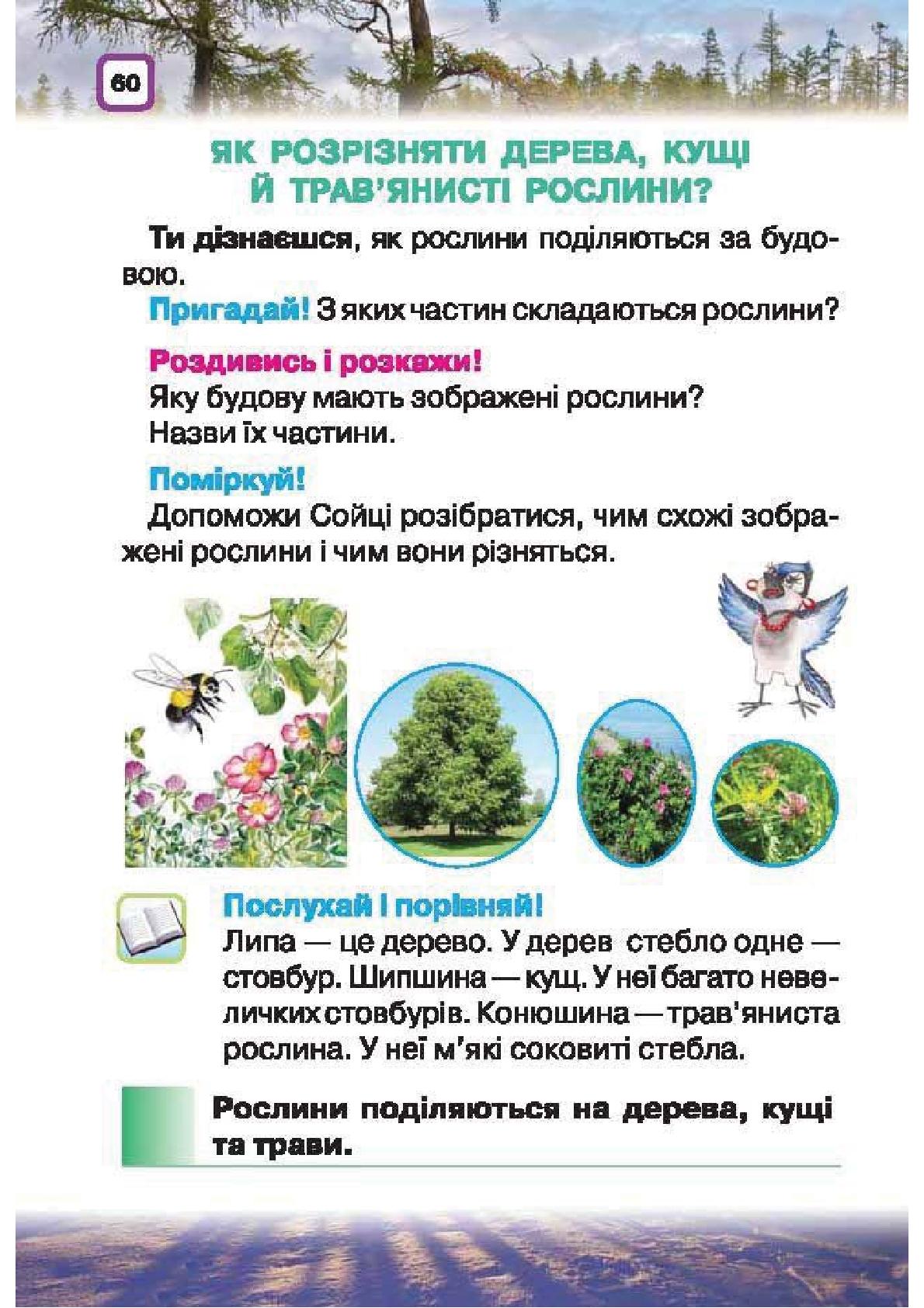 Мініатюра 60